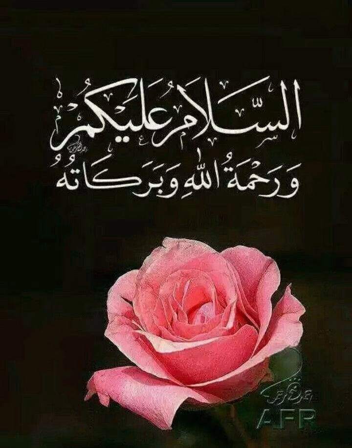 Greeting in Islam – The Beauty of Saying “Assalamu Alaikum”